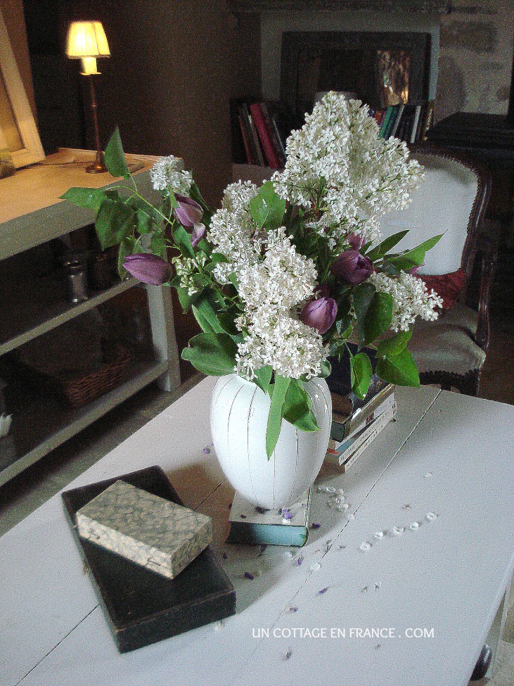 bouquet de lilas blanc