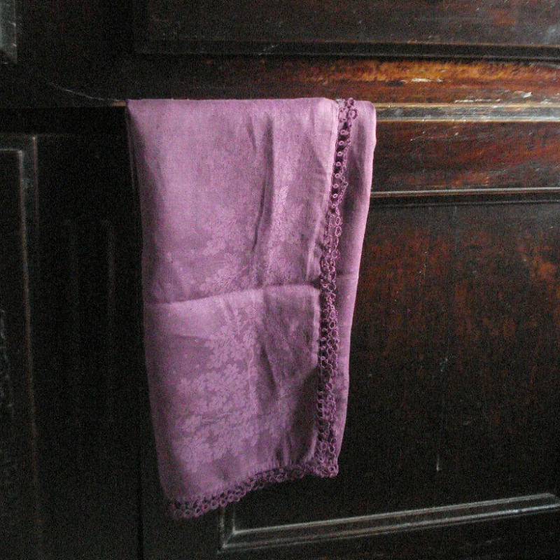 Détail de couleur : la nappe du violet des cyclamens sauvages | Colourful detail : the wild cyclamens’s purple tablecloth