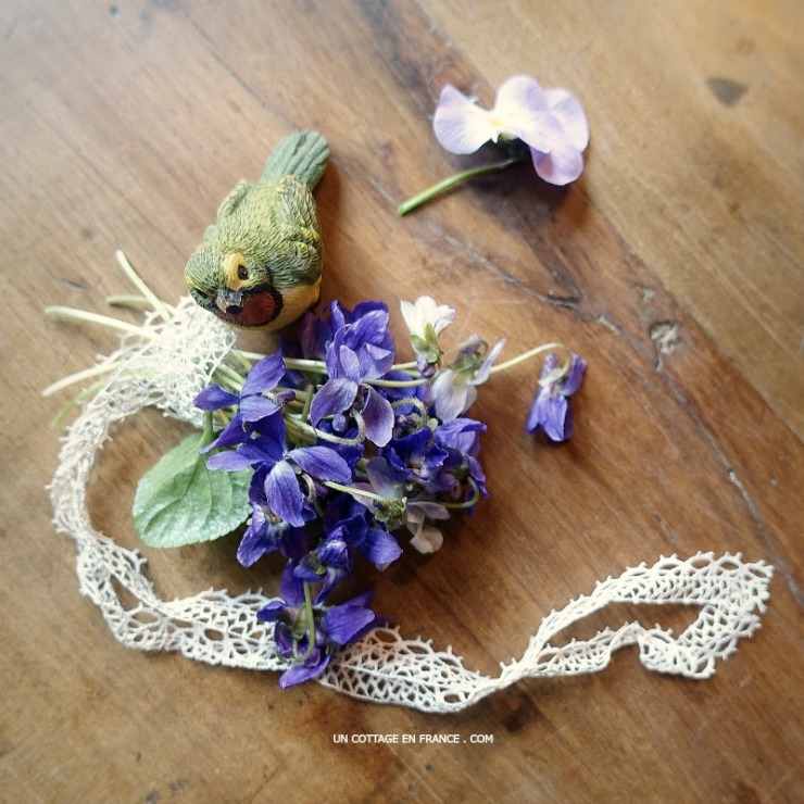 Mini bouquets : violettes de la Saint-Valentin | Pocket bouquets: Valentine’s violets