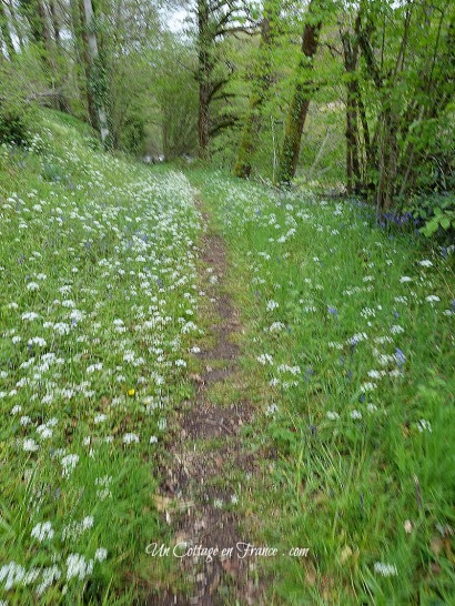 Le chemin de la Gartempe en mai (The path net to the Gartemper river in May)